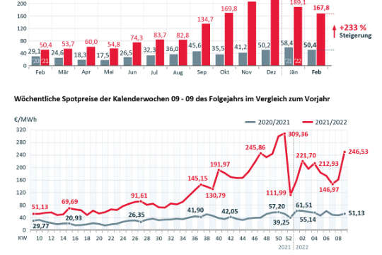 Strompreis Entwicklung Uebersicht DE.jpg